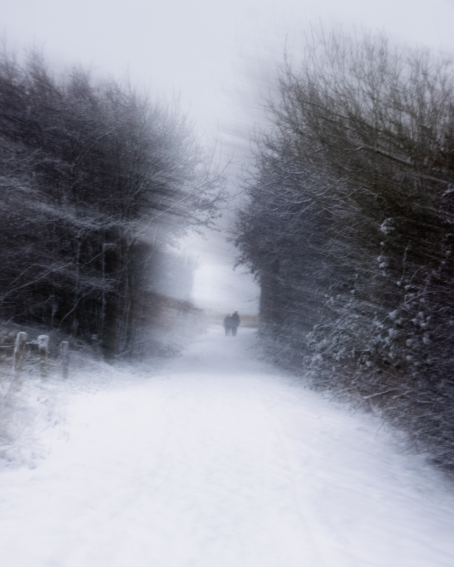 Zwei im Winterweg